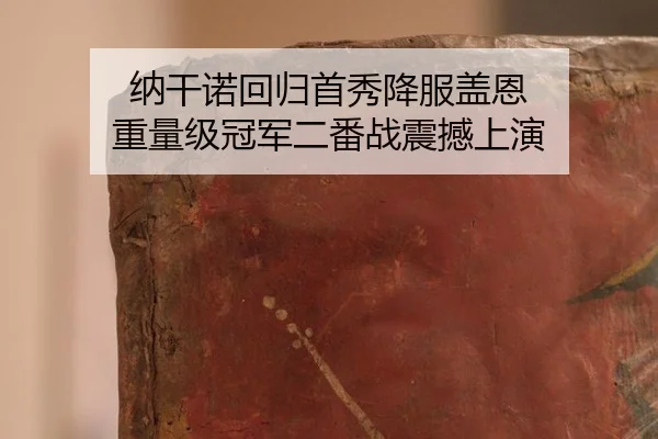 na-gan-nuo-hui-gui-shou-xiu-xiang-fu-gai-en-zhong-liang-ji-guan-jun-er-fan-zhan-zhen-han-shang-yan-3-167.jpg