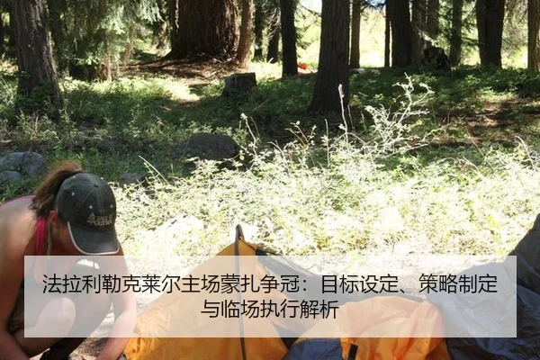 fa-la-li-lei-ke-lai-er-zhu-chang-meng-zha-zheng-guan-mu-biao-she-ding-ce-lve-zhi-ding-yu-lin-chang-zhi-xing-jie-xi-2-168.jpg