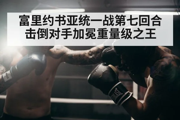富里约书亚统一战第七回合击倒对手加冕重量级之王